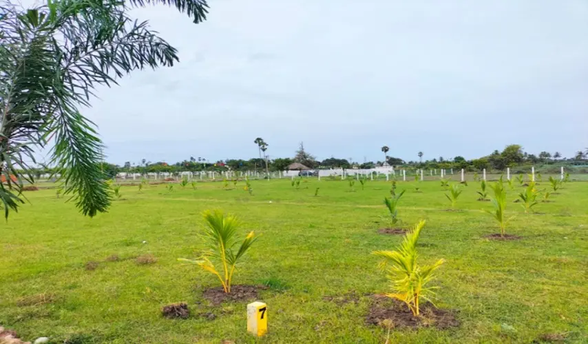 plots-for-sale-in-guduvanchery-madras-i5-farms-2