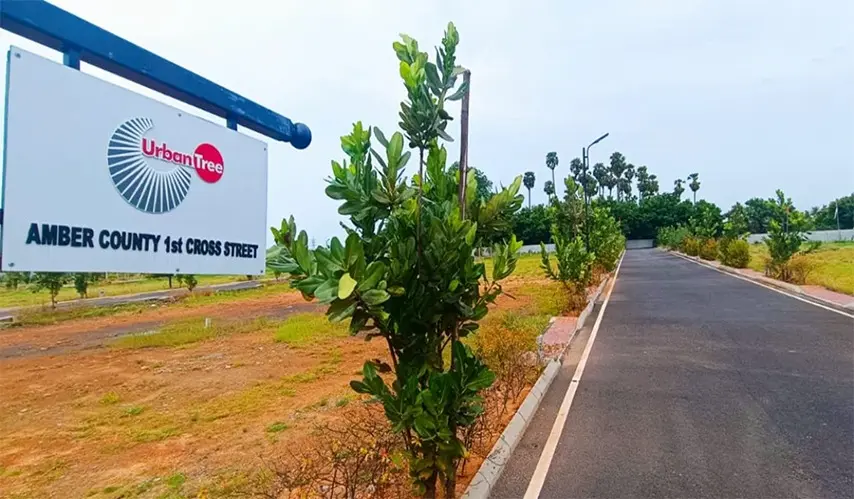 plots-for-sale-in-thirumazhisai-urban-tree-amber-county-2